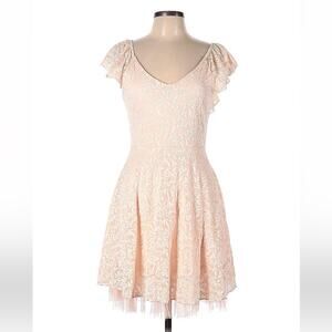 Secret charm pink lace and mesh ruffle fit and flare dress, L